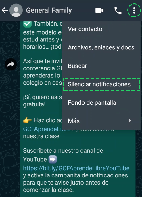 Abrir panel de opciones de chat en WhatsApp y elegir opción Silenciar Notificaciones